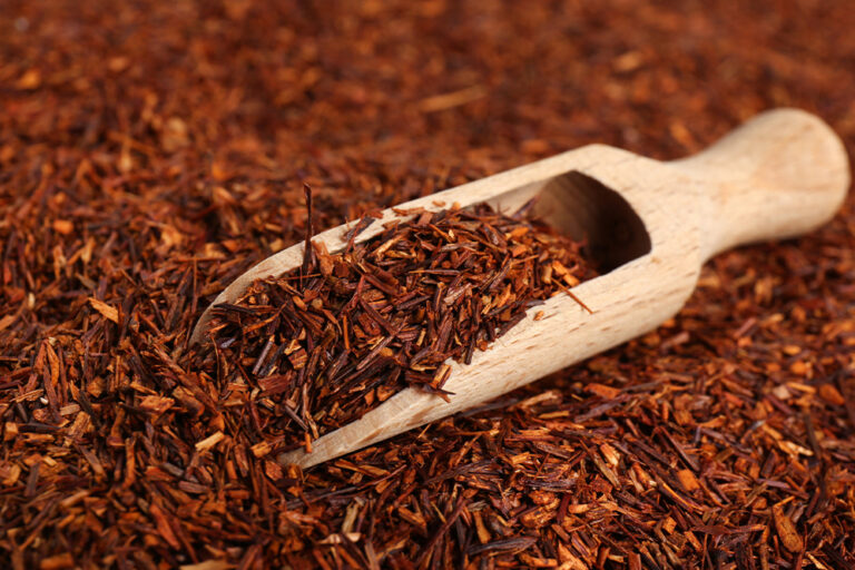 rooibos