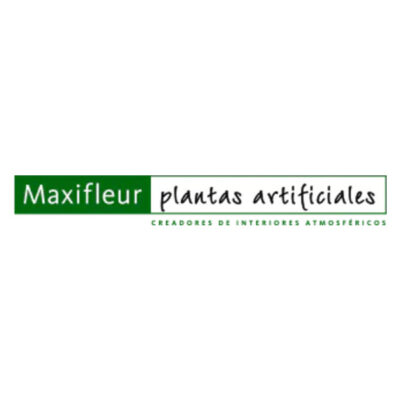 Maxifleur